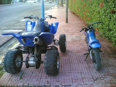 raptor vs piwi